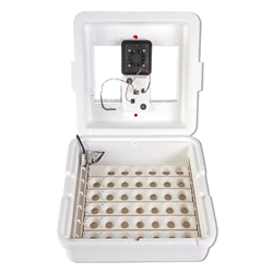 Little Giant® Deluxe Incubator with Egg Turner & Fan Little Giant Deluxe Incubator, Little Giant, Miller Mfg, Miller Manufacturing, Incubator, Miller Incubator,  Deluxe Incubator,  Automatic Egg Turner, Poultry Supplies, Chicken Supplies, Hen Supplies