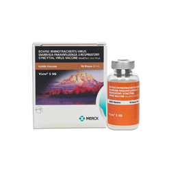 Vista® 5 SQ - Cattle Vaccine Vista, 5, SQ, Cattle, Vaccine, vaccination, bovine, IBR, BVD, PI3, Cow, Calve, heifer, health, care, medication, BRSV, MLV, 004-006331, Merck