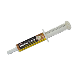 Durvet® DuraZyme Lamb & Kid Paste Durvet, DuraZyme, Lamb, Kid, Paste, source, live, viable, direct, fed, micro, organisms, minimize, intestinal, disorder, enhance, digestion, sheep, goats, newborn, supplement, vitamin, DFM