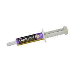 Durvet® Lamb & Kid Colostrum Oral Gel Durvet, Lamb, Kid, Colostrum, Oral, Gel, Goat, Sheep, Stock, Livestock, Supplies, newborn, live, viable, natural, occurring, microorganisms, dried, milk, vitaimin, meternal, anti, bodies, beneficial, microflora, health, care