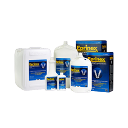 Eprinex® Pour-On Eprinex, Pour-On, pour, on, merial, Ivomec, treatment, treat, control, gastro, worms, gastrointestinal, roundworms, lungworms, grubs, sucking, biting, lice, chorioptic, sacoptic, mange mites, horn, flies, beef, dairy, cattle, cow, bovine, lactating, dairy, no, milk, withhold, withdrawl