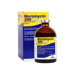 Norbrook® Noromycin 300 LA Norbrook, Noromycin, 300 LA, 300, LA, antibiotic, oxytetracycline, Cattle, non, lactating, dairy, calves, veal, swine, treatment, health, care, disease, negative, bacteria,  pneumonia, shipping, fever, complex, pinkeye, bacterial, enteritis, scours, footrot, diphtheria, leptospirosis, wooden tongue, acute, metritis, wound, infection