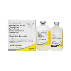 Zoetis® Bovi-Shield Gold One Shot Bovi-Shield, Gold, One, Shot, 50, Dose, 100, ml, zoetis, protection, aid, treat, heal, vet, vaccine,  IBR, BVD, type, 1, 2, BRSV, PI3, Mannheimia, haemolytica, pasteurella, pregnant, cow, bovine, cattle, nursing, immunity, bovi, shield, health, care, cow