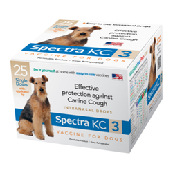 Canine Spectra® KC3 Canine, Spectra, KC3, kennel, cough, vaccine, durvet, safe, effective, protect, medication, vet, supply, pet, dog, easy, use, intranasal, DIY