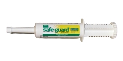 Safe-Guard® Horse & Cattle Dewormer 92 gm Safe-Guard®, Horse, Cattle, Dewormer, 92, gm, 10%, fenbendazole, control, lungworms, stomach, intestinal, worms, Safe, breeding, stock, pregnant, cows, stressed, cattle, lactating, dairy, horses, weighing, more, 1,250, pounds, lb, lbs, Apple, Flavored, 92, g, gm, calibrated, oral, syringe, deworms, 4000, lbs, body, weight, wormer, dewormer, de-wormer