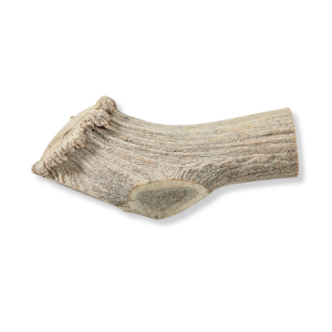 QT Dog® Antlerz All-Natural Chew 