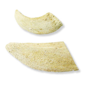 QT Dog® Water Buffalo Horn Core Chews 