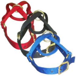 Valhoma® Goat Halter Valhoma® Goat Halter, Livestock, Goat, Show, Supplies, halters, kid, nanny, billy